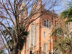 -上海佘山国家森林公园西佘山园