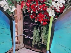 -正佳雨林生态植物园