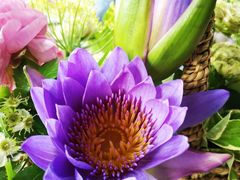 -荷兰布尔玛国际花艺学院