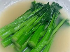 -点都德·毕德寮