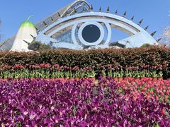 -南山植物园