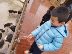 -三分地生态园·儿童乐园