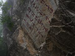 -黔灵山公园