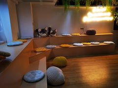 -Husky Go! 哈士奇体验馆·宠物咖啡厅狗咖