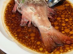-宁波柏悦酒店·钱湖渔港