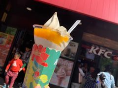 大花筒冰淇淋-肯德基(西桥店)