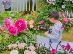 -人民公园(罗湖区)