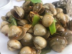 辣炒白蛤-渔民船说·北塘海鲜·天津菜·海肠捞饭(北塘古镇店)
