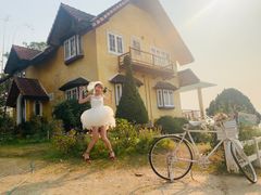-黄色小屋