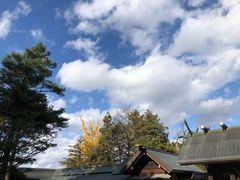 -北海道神宫