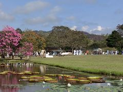 -中国科学院西双版纳热带植物园