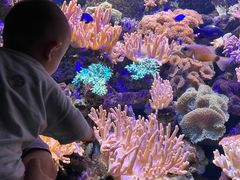 -南昌海洋公园