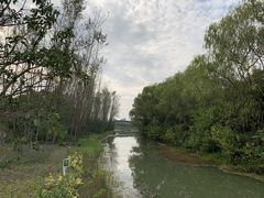 -昆山城市生态森林公园