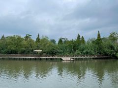 -溱湖国家湿地公园