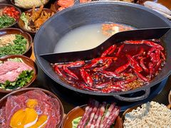 -阳阳老火锅(小南门店)