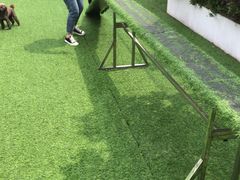 -汪说喵讲宠物乐园宠物酒店(红星美凯龙店)