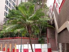 -香港大学