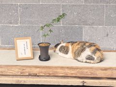 -西园寺素食(西园弄戒幢律寺店)