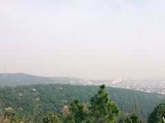 -雨花胜境