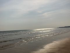 -日照海滨国家森林公园