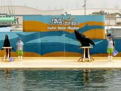 -秦皇岛乐岛海洋王国