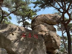 -崂山仰口游览区