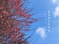 -桃花岛景观公园