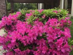 -庐山天沐温泉度假村