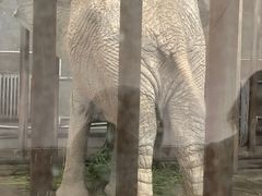 -保定市动物园