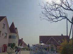 -大塘金香草谷