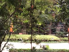 -马勒别墅·中餐厅