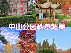 -中山公园