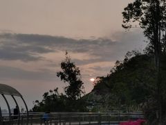 -板樟山森林公园