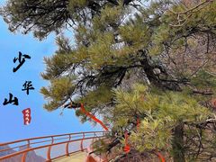 -少华山国家森林公园
