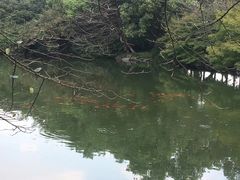 -西湖游船