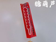 -和禄德冰糖葫芦
