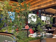-滇铺子·云南特色菜·第九届野生菌美食节(曲靖万达店)