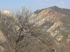 -北京凤凰岭