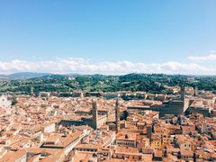 -圣母百花大教堂穹顶