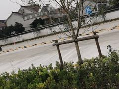 -新场古镇-停车场