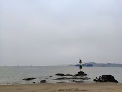 -贝壳梦幻世界