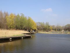 -前关湿地公园