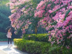 -杭州城北体育公园