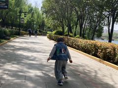 -西安汉城湖景区