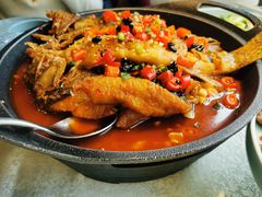 -洞庭家宴·头牌甲鱼(广渠门店)