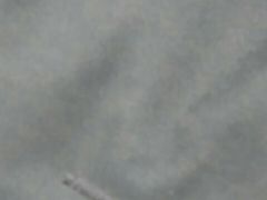 -赏点粤式点心(广州塔店)