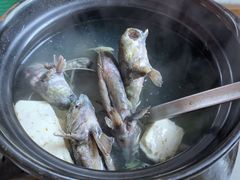 炒小竹蛏-大厝宅海鲜馆