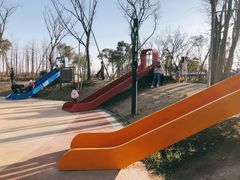 -春花秋色城市公园