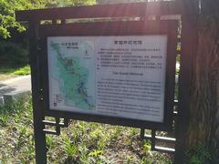 -红楼梦邮局
