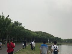 -东方绿舟景区